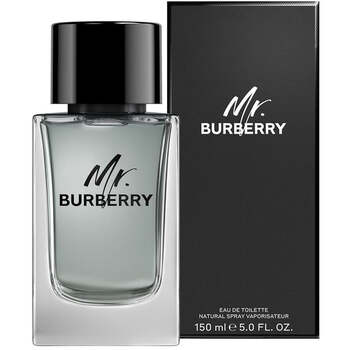 Burberry Mr. Burberry Eau de Toilette 100ml